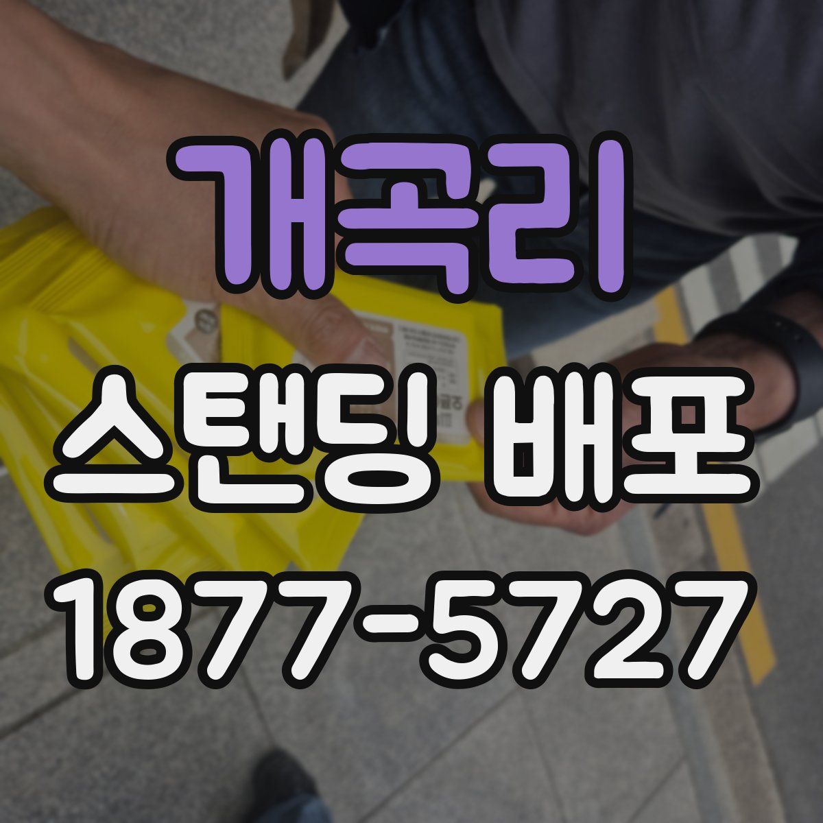 개곡리 스탠딩 배포