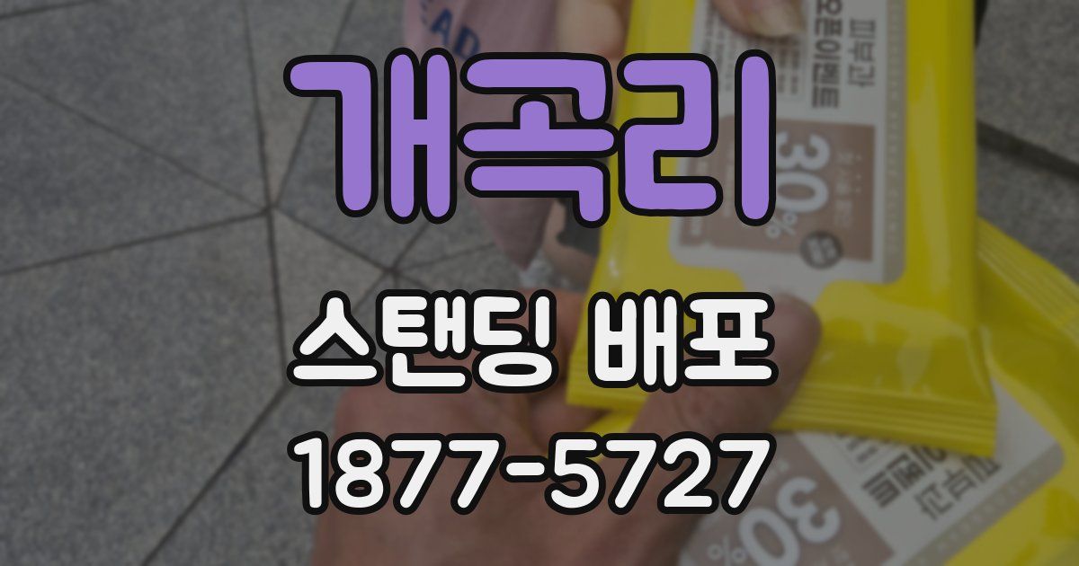 개곡리 스탠딩 배포