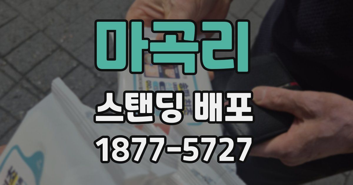 마곡리 스탠딩 배포