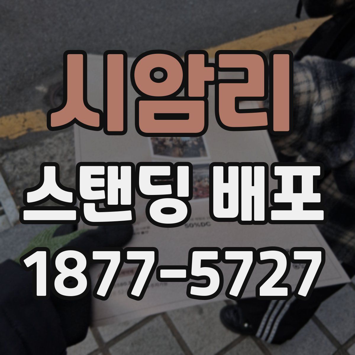 시암리 스탠딩 배포