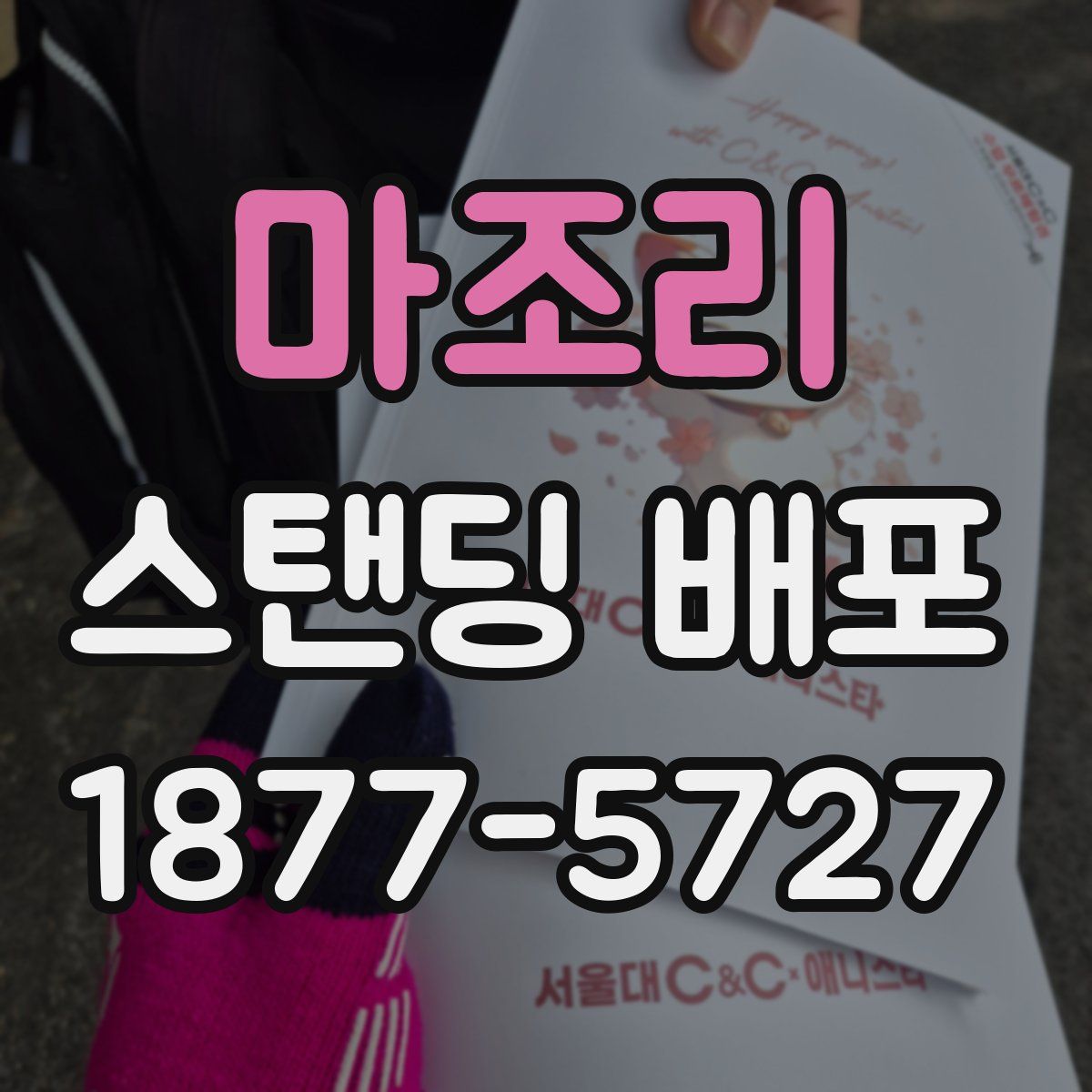 마조리 스탠딩 배포