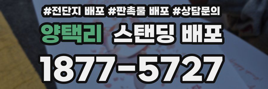 양택리 스탠딩 배포