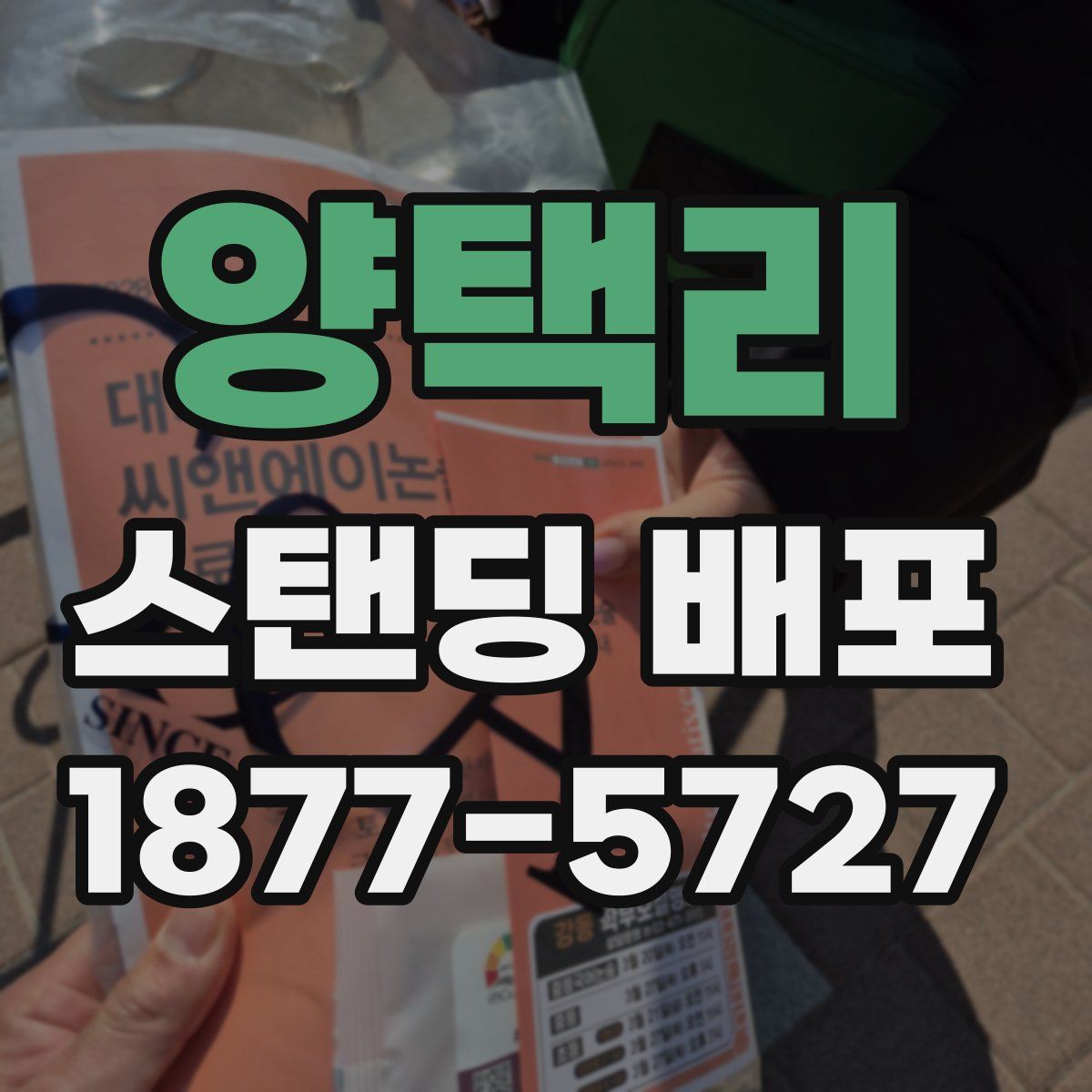 양택리 스탠딩 배포