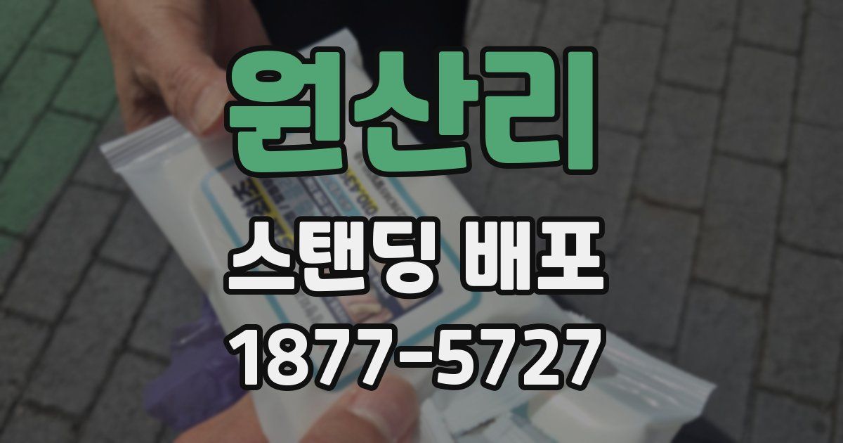원산리 스탠딩 배포