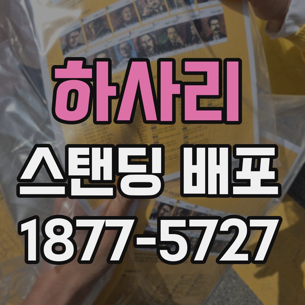 하사리 스탠딩 배포