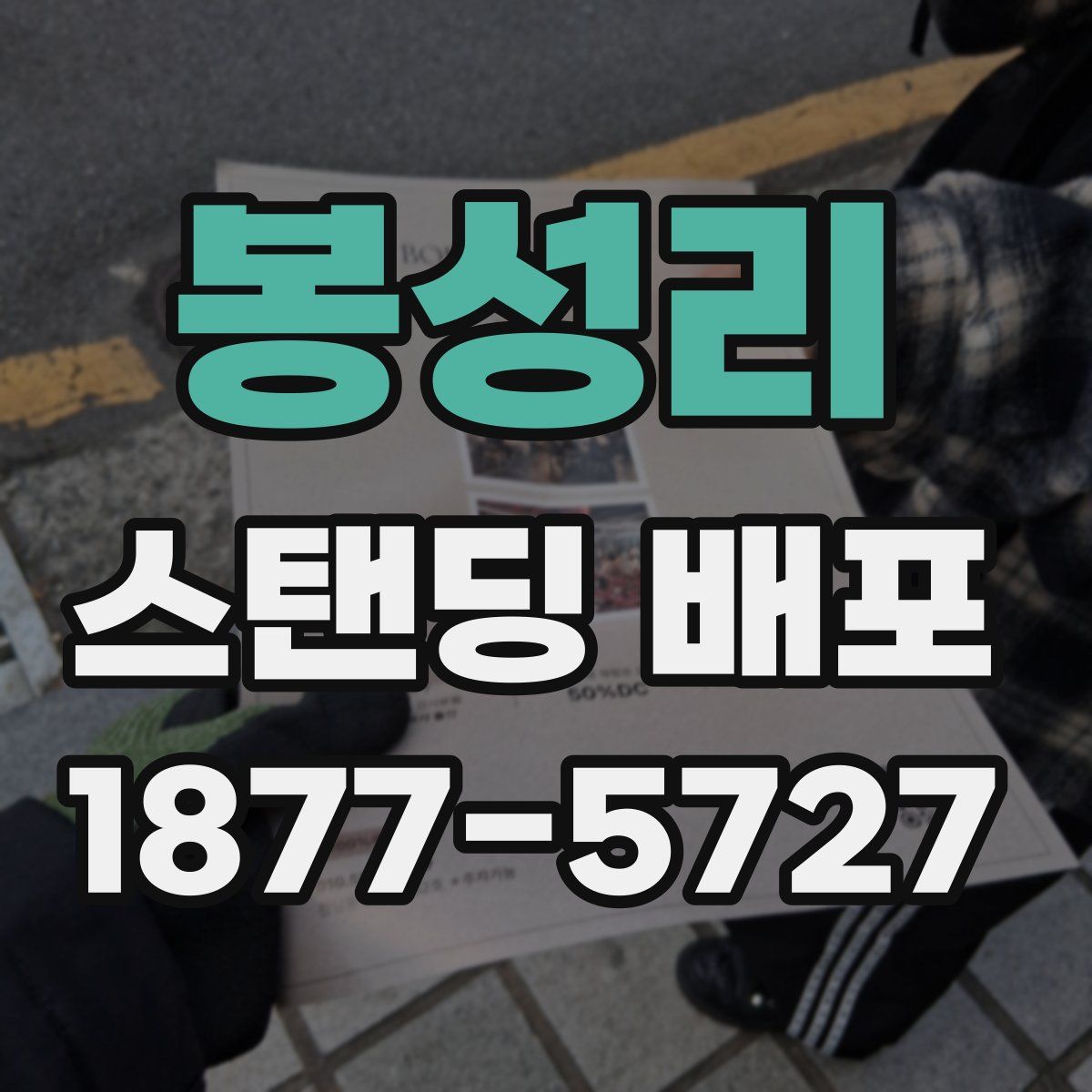 봉성리 스탠딩 배포
