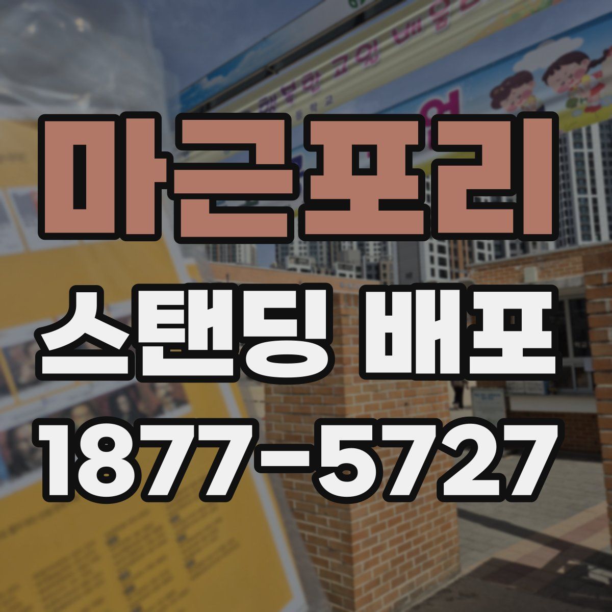 마근포리 스탠딩 배포