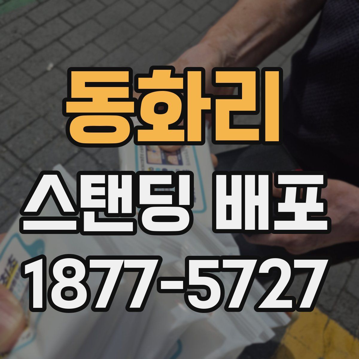 동화리 스탠딩 배포