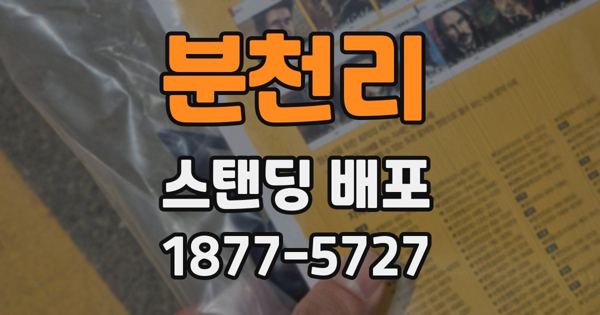 분천리 스탠딩 배포