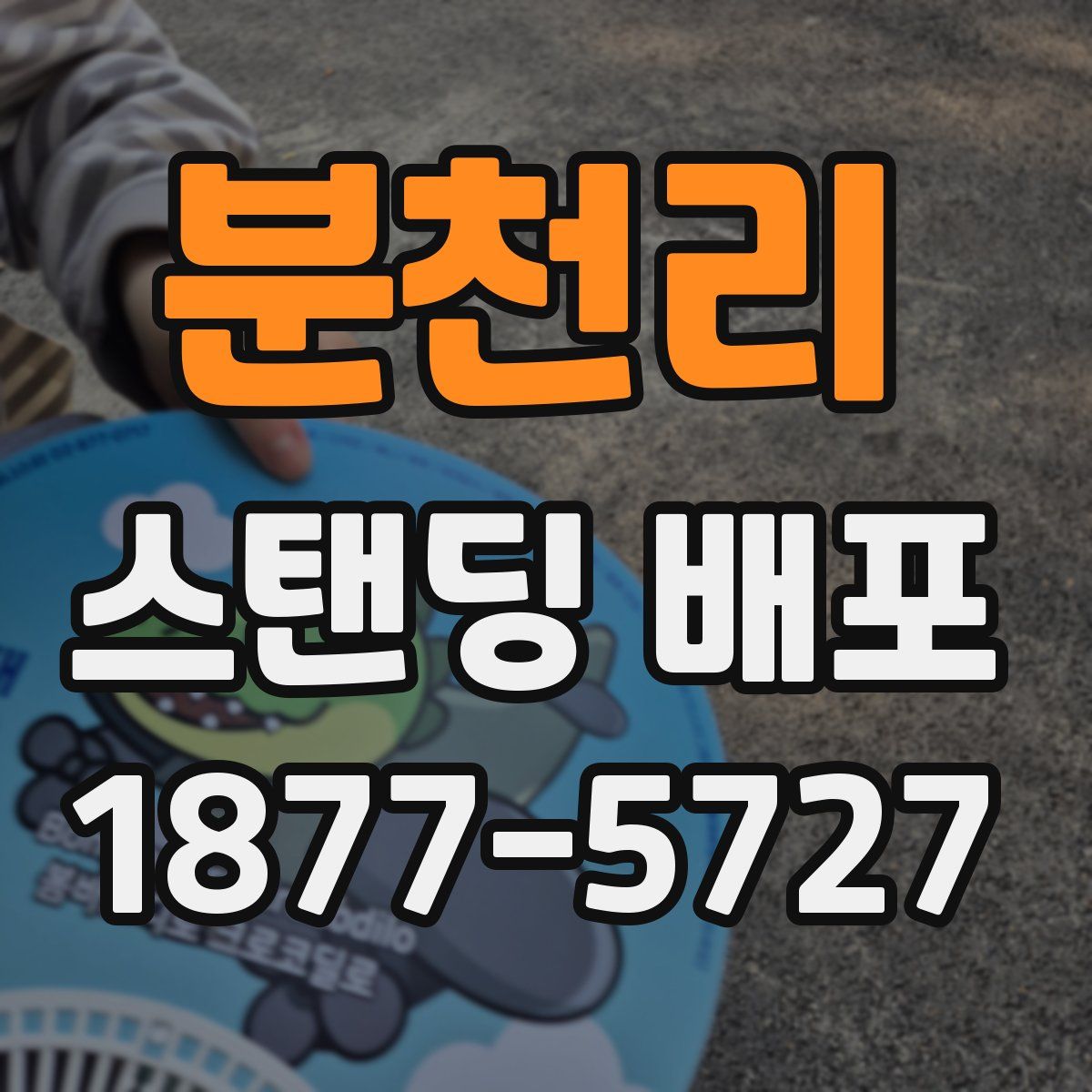 분천리 스탠딩 배포