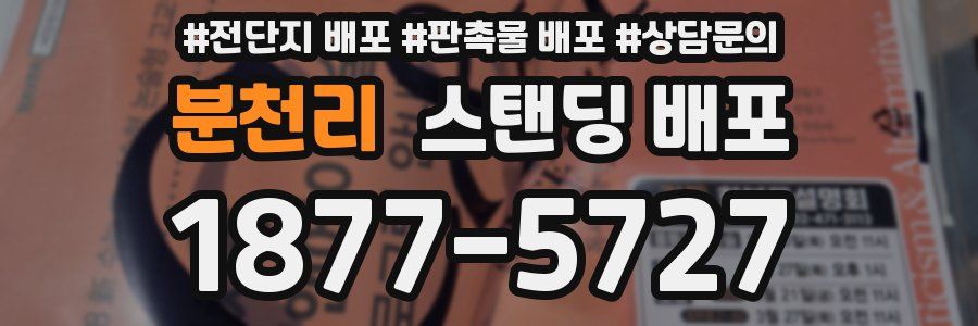분천리 스탠딩 배포