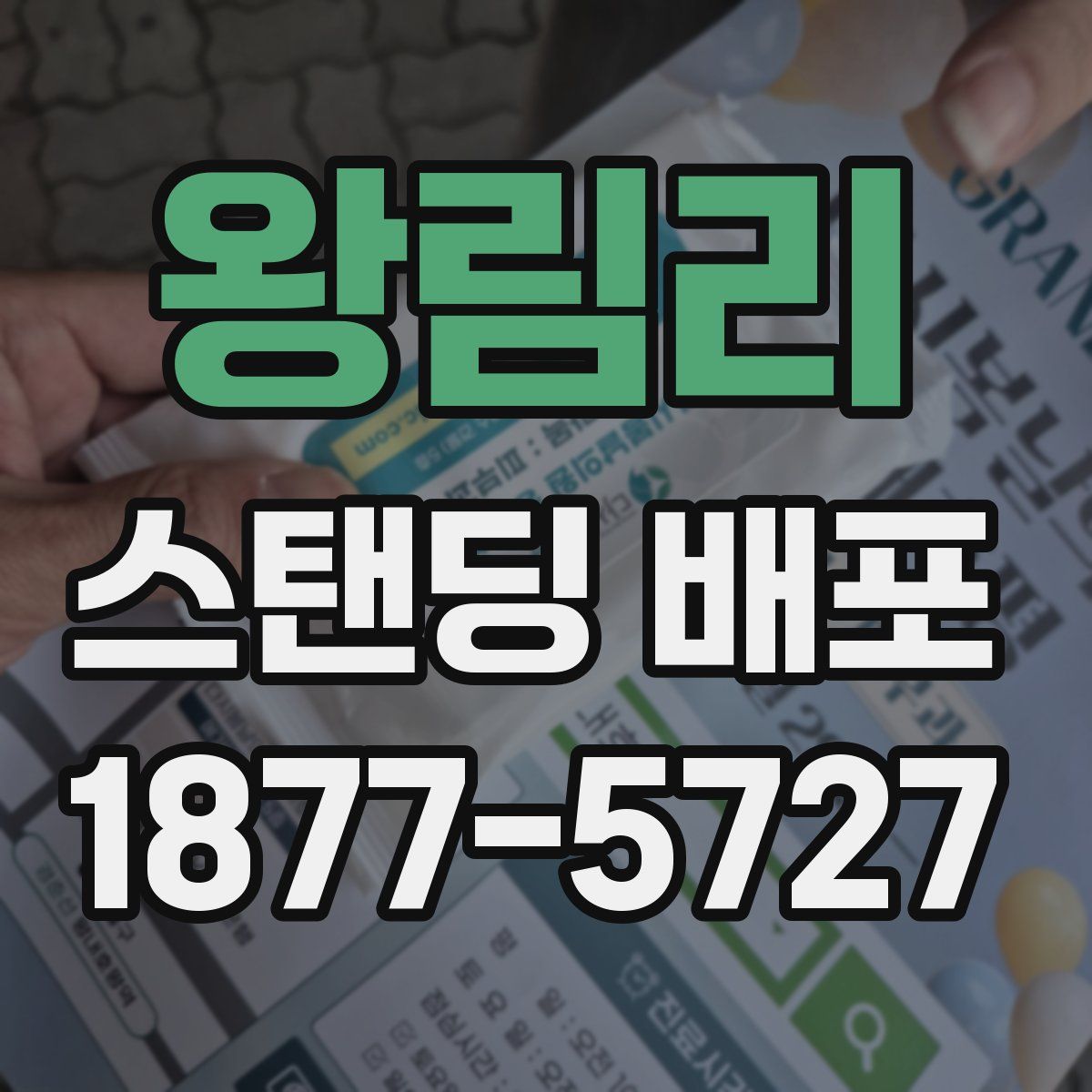 왕림리 스탠딩 배포