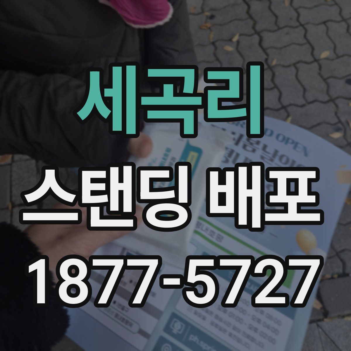 세곡리 스탠딩 배포