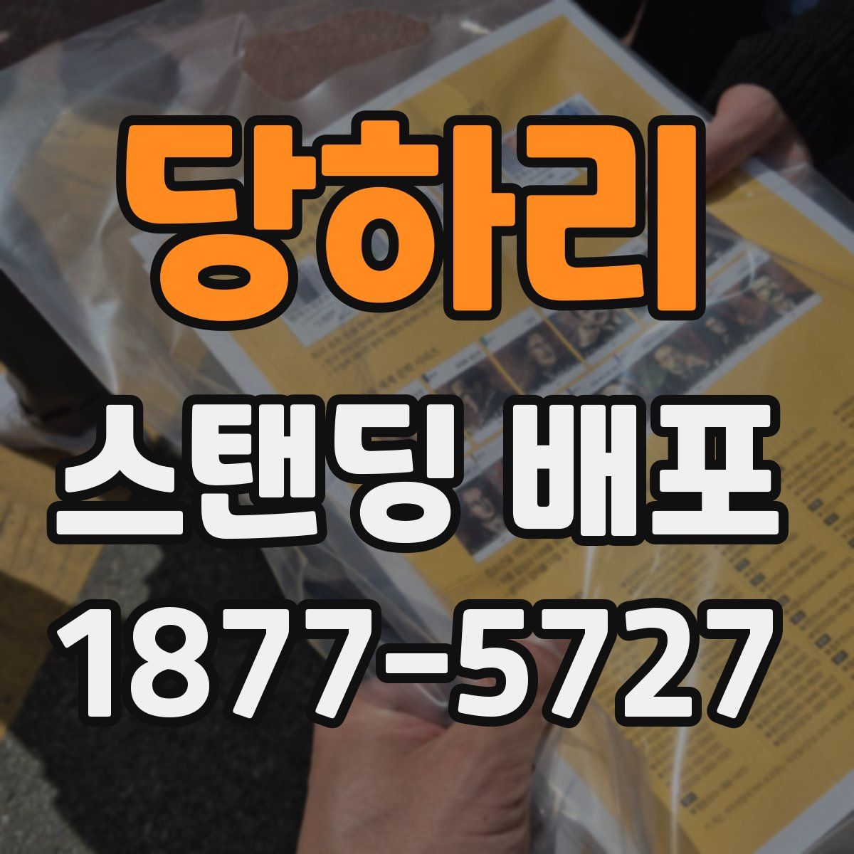 당하리 스탠딩 배포