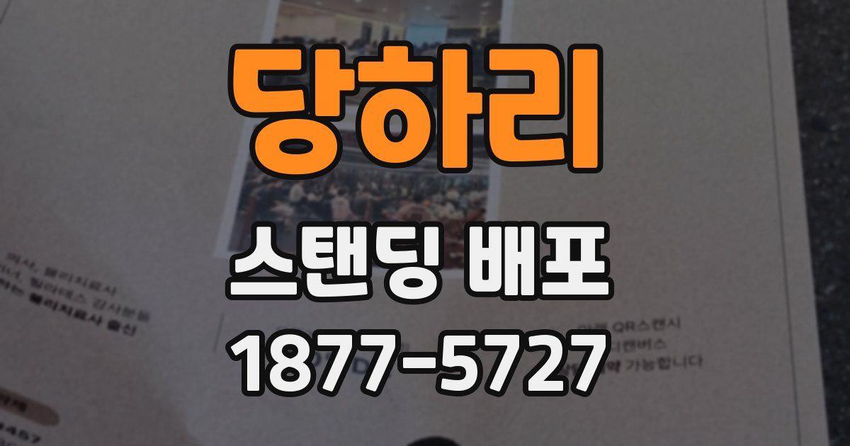 당하리 스탠딩 배포