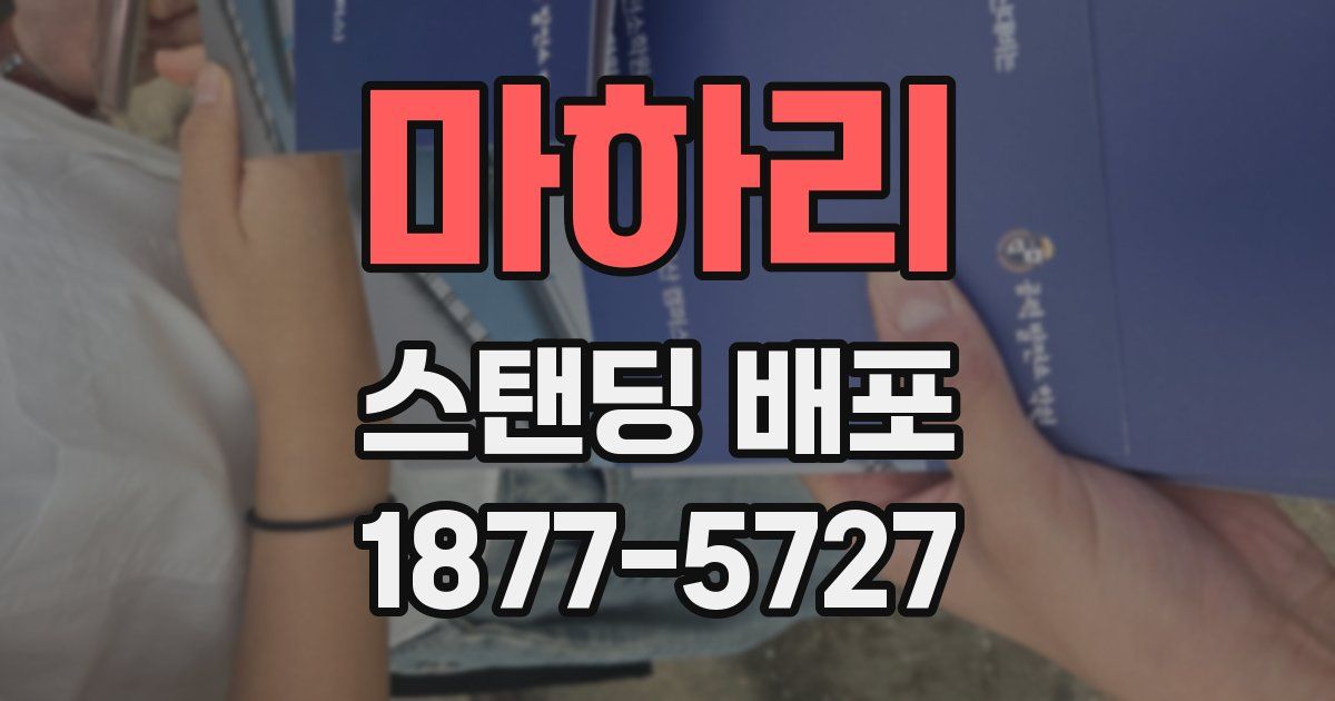 마하리 스탠딩 배포