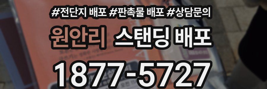 원안리 스탠딩 배포