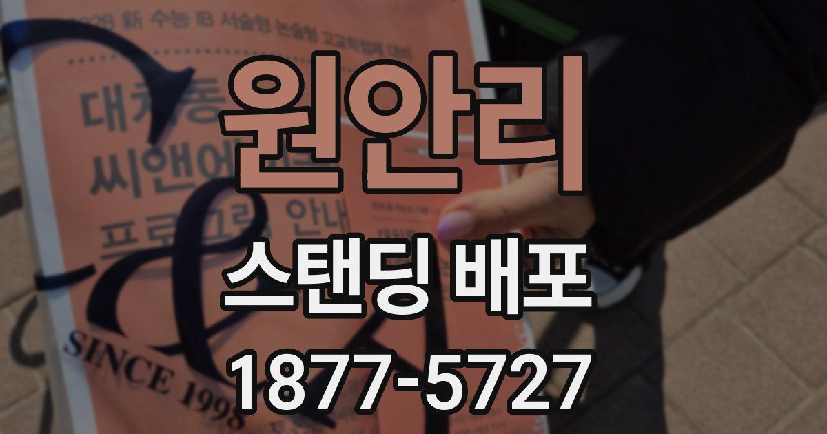 원안리 스탠딩 배포