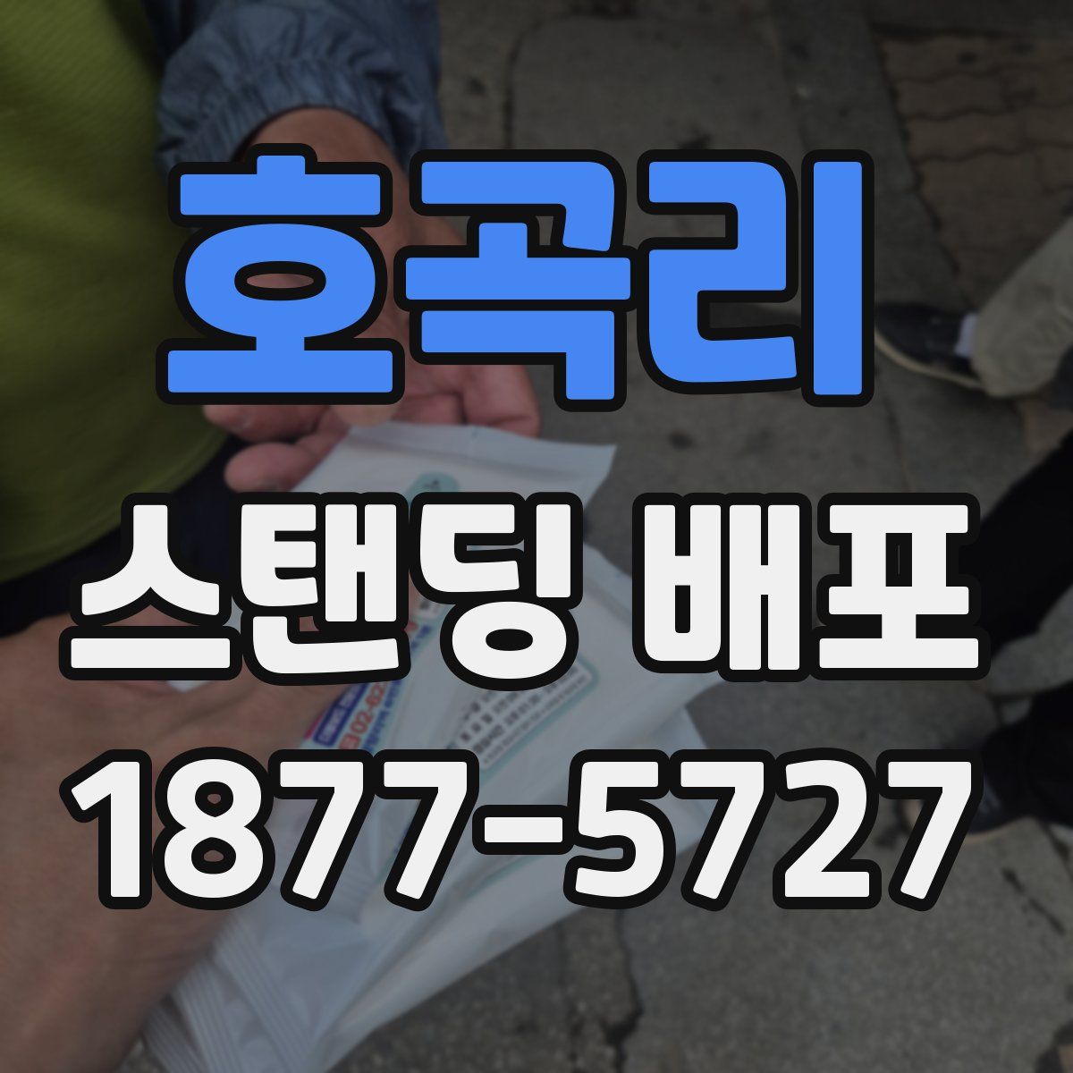 호곡리 스탠딩 배포