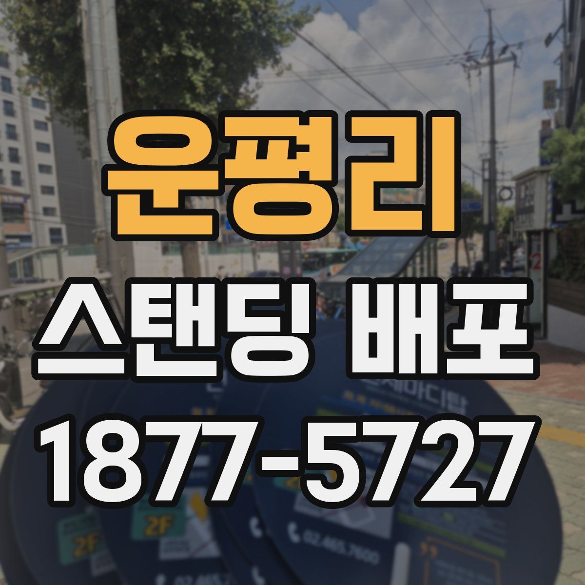 운평리 스탠딩 배포