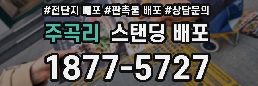 주곡리 스탠딩 배포