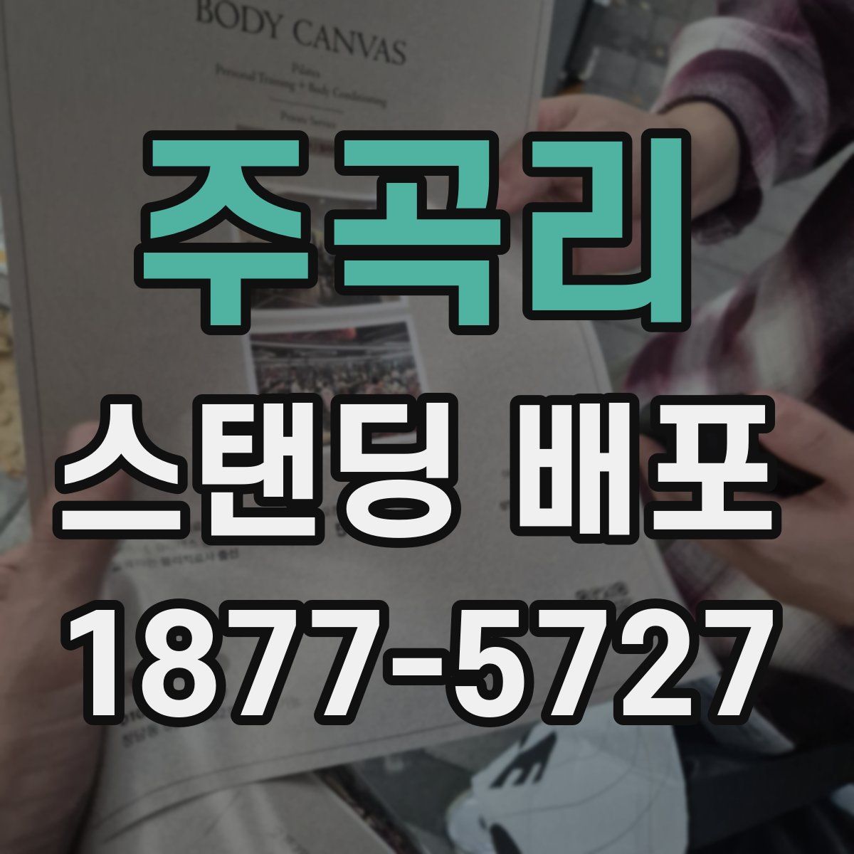 주곡리 스탠딩 배포