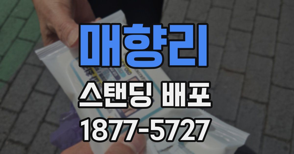 매향리 스탠딩 배포
