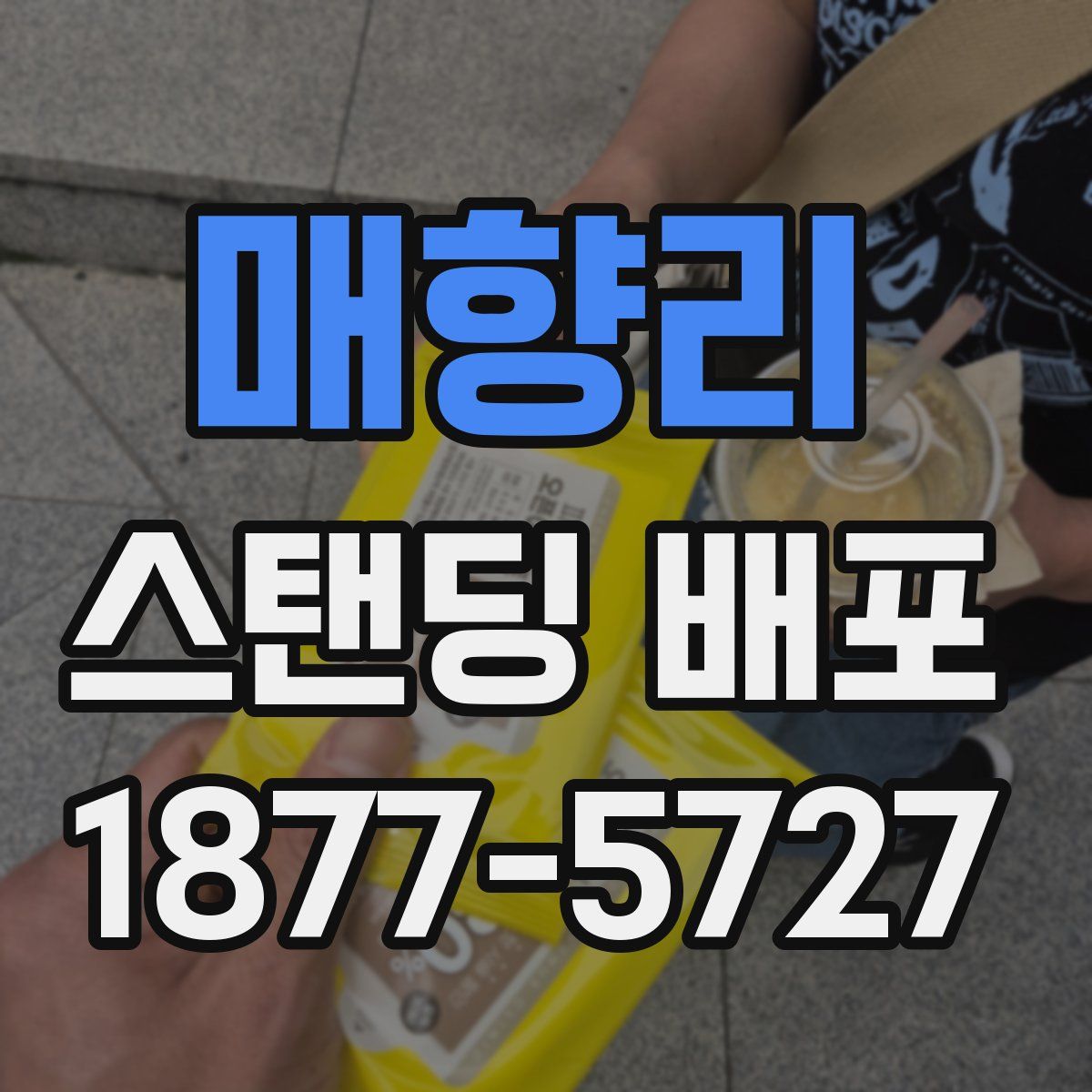 매향리 스탠딩 배포