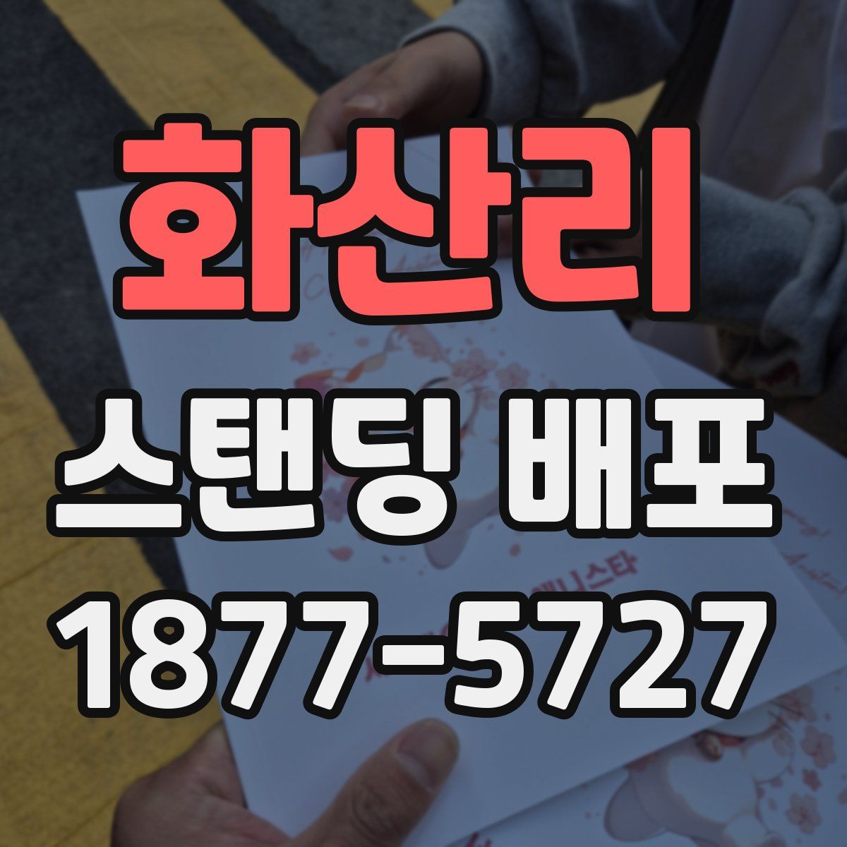 화산리 스탠딩 배포