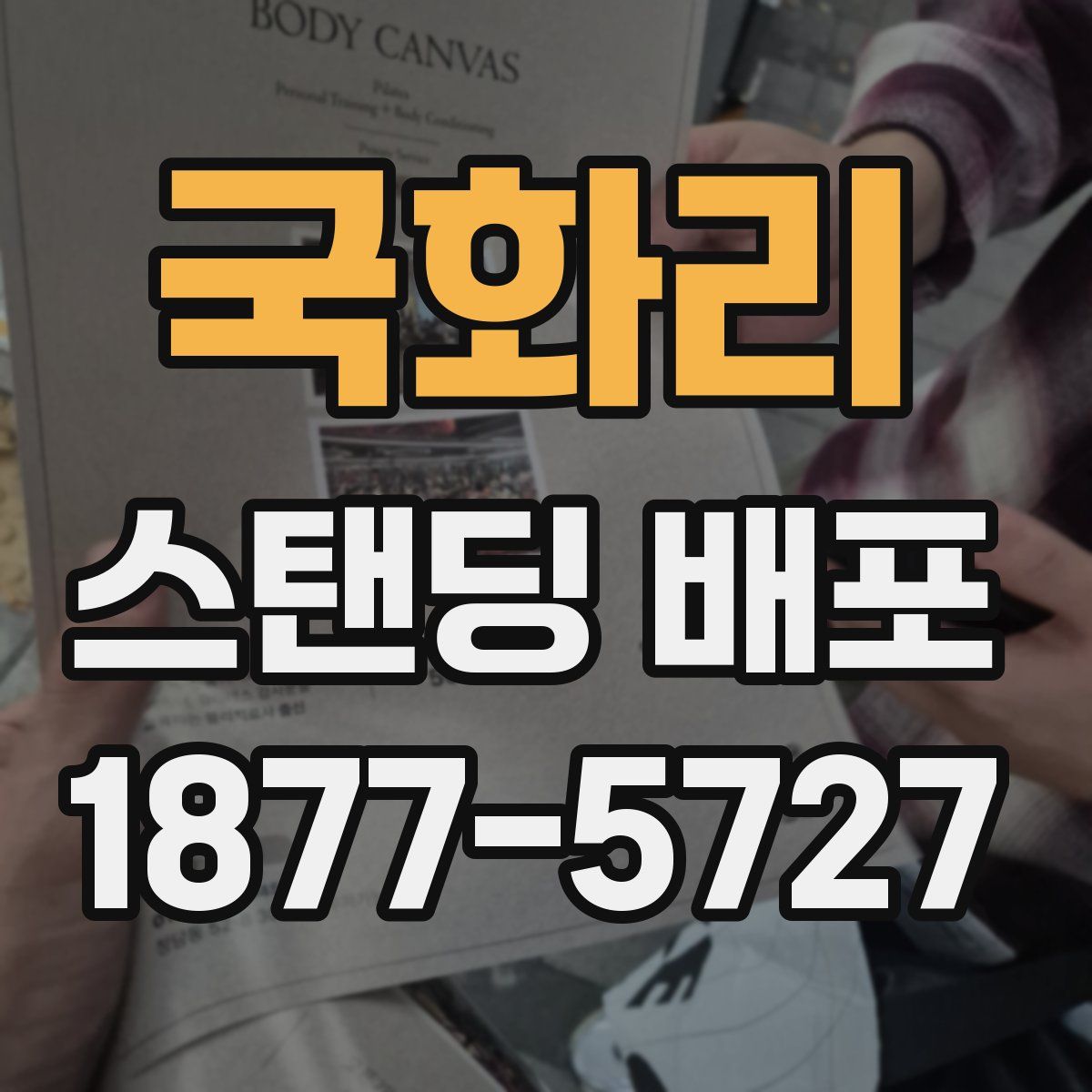 국화리 스탠딩 배포