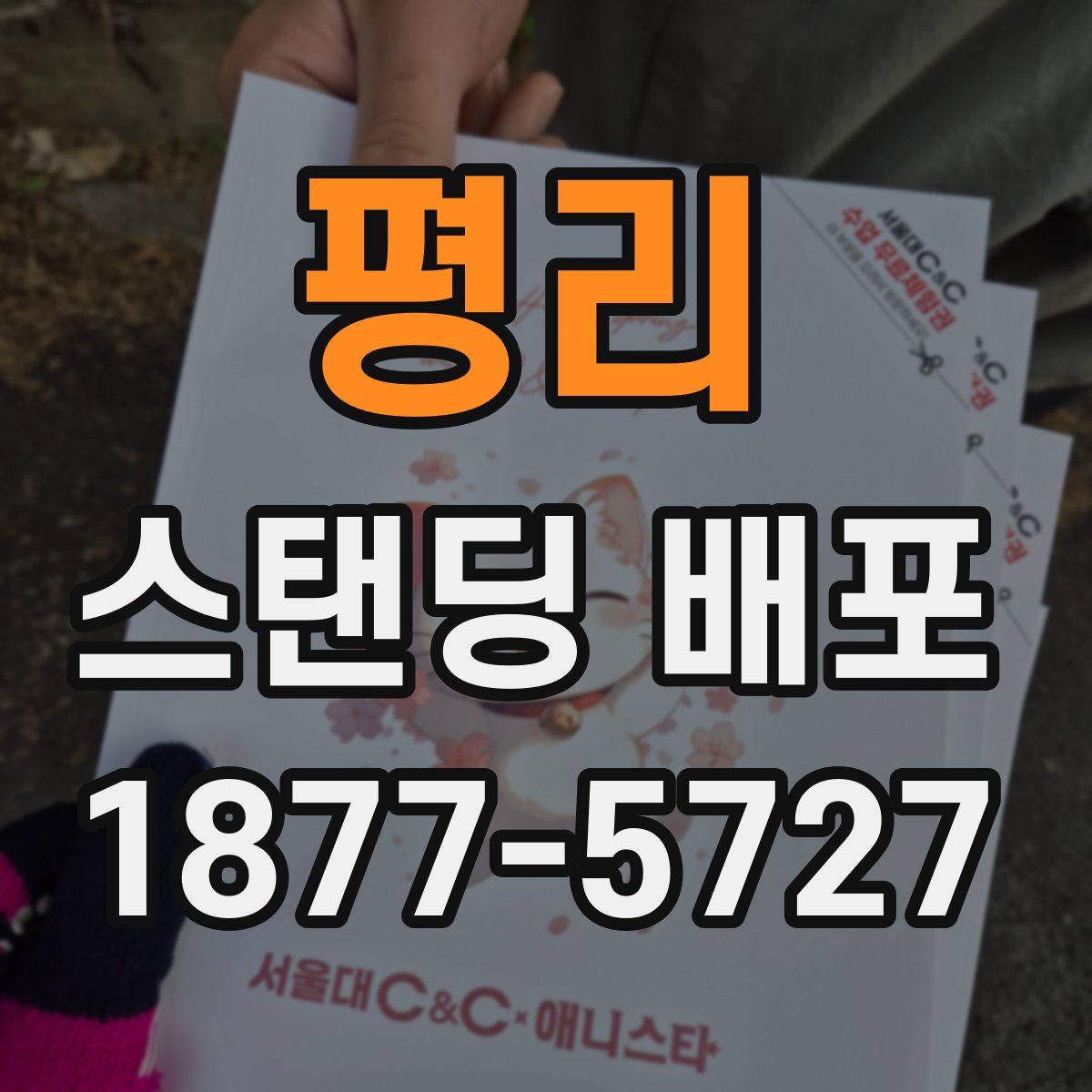 평리 스탠딩 배포