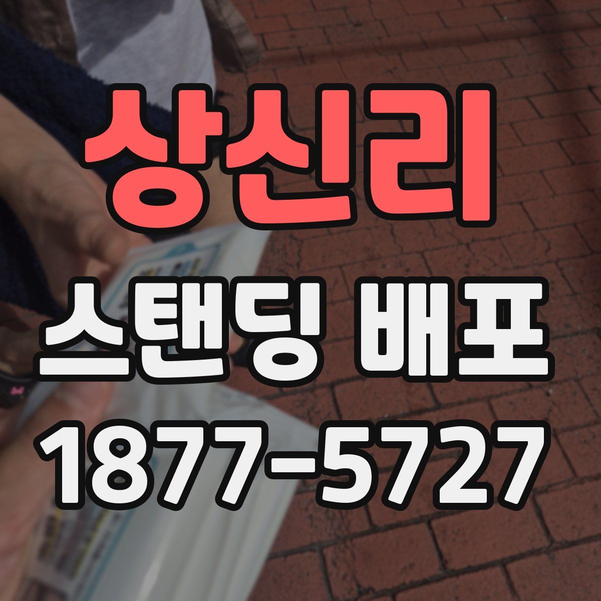 상신리 스탠딩 배포
