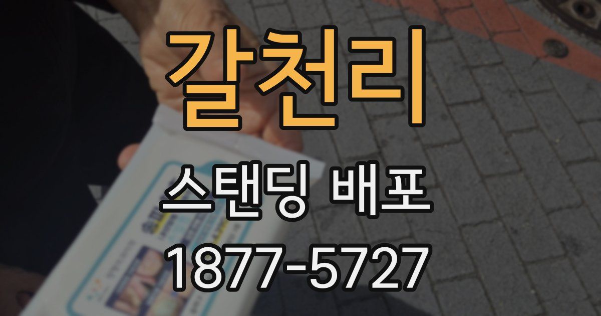 갈천리 스탠딩 배포