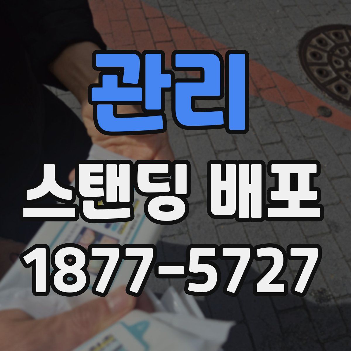 관리 스탠딩 배포