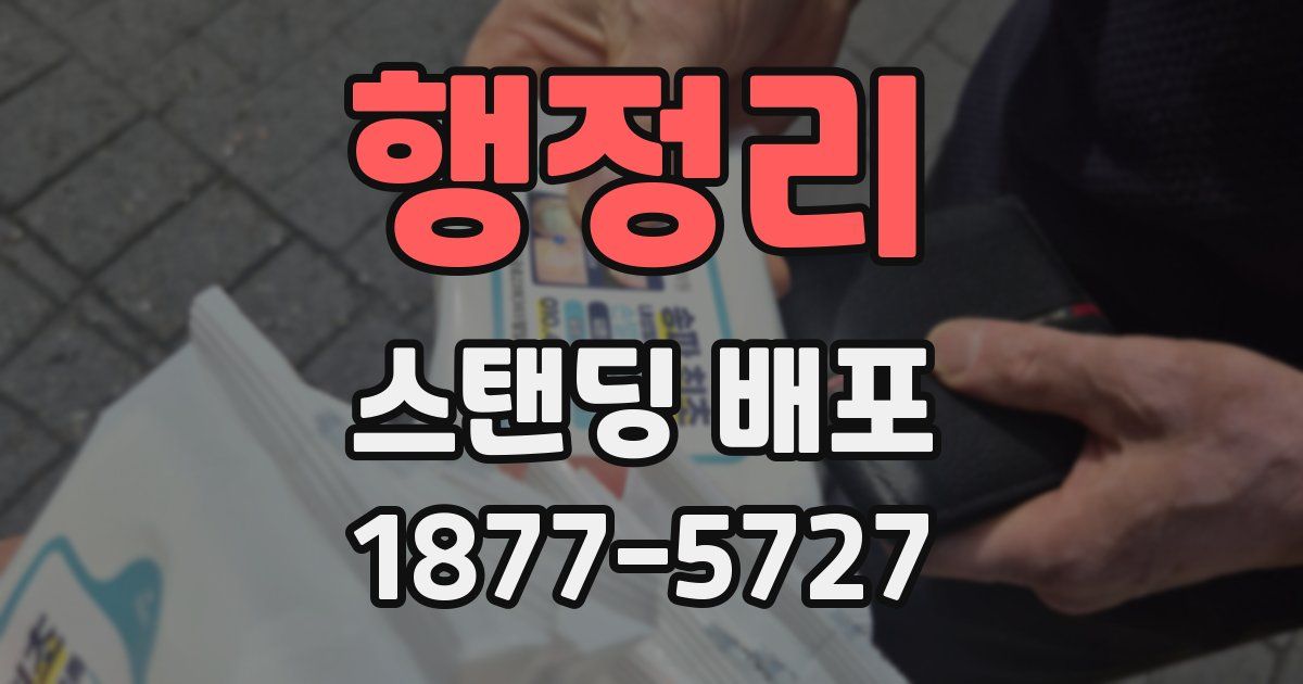 행정리 스탠딩 배포