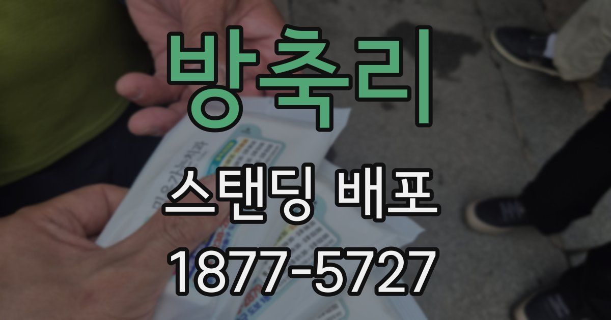 방축리 스탠딩 배포