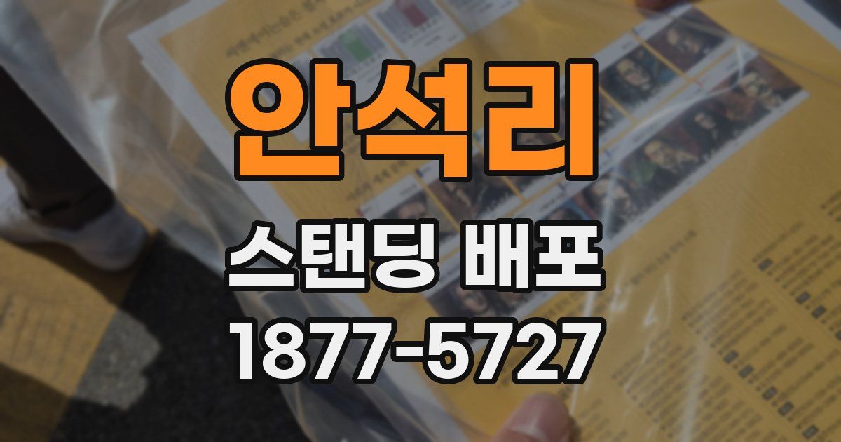 안석리 스탠딩 배포