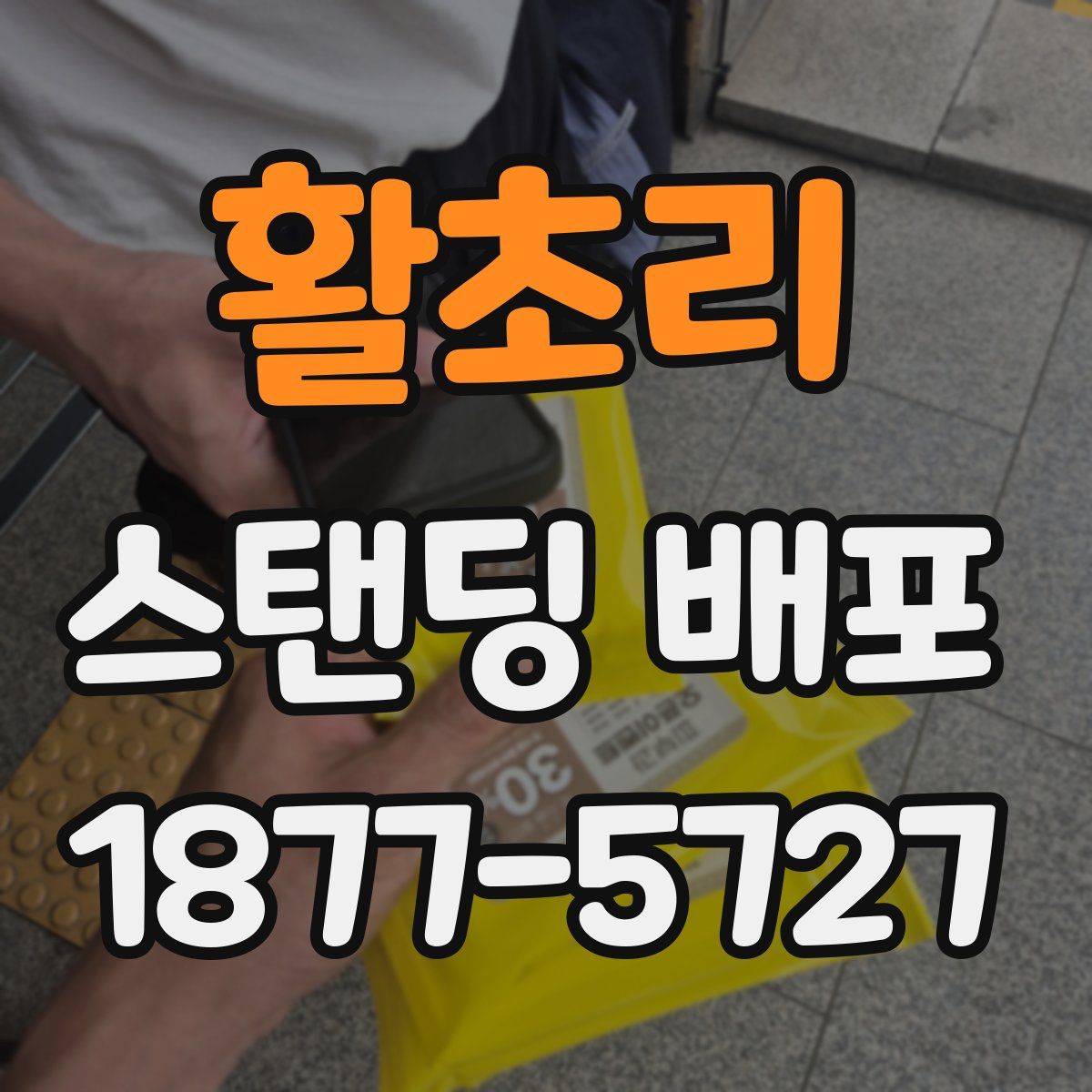 활초리 스탠딩 배포