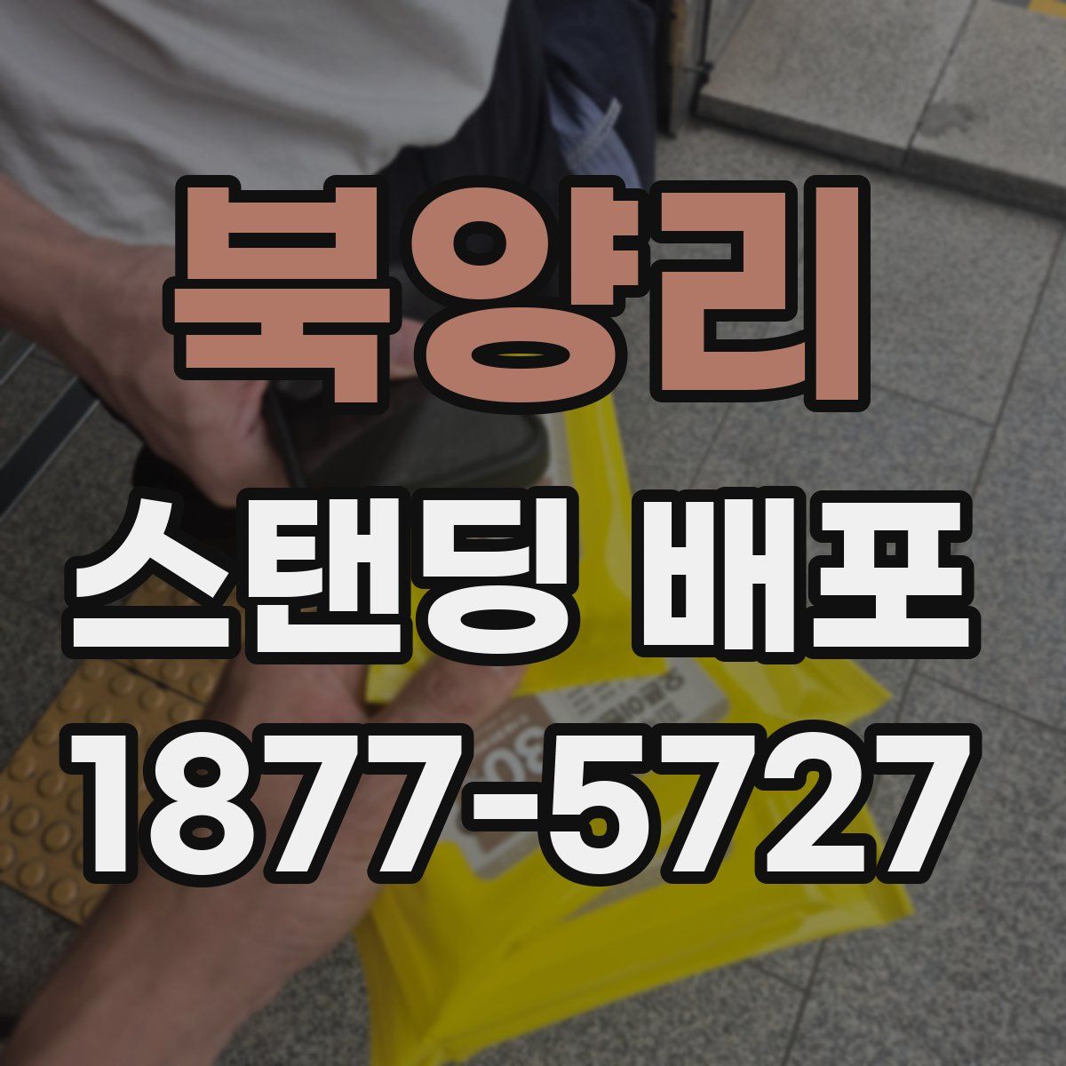 북양리 스탠딩 배포