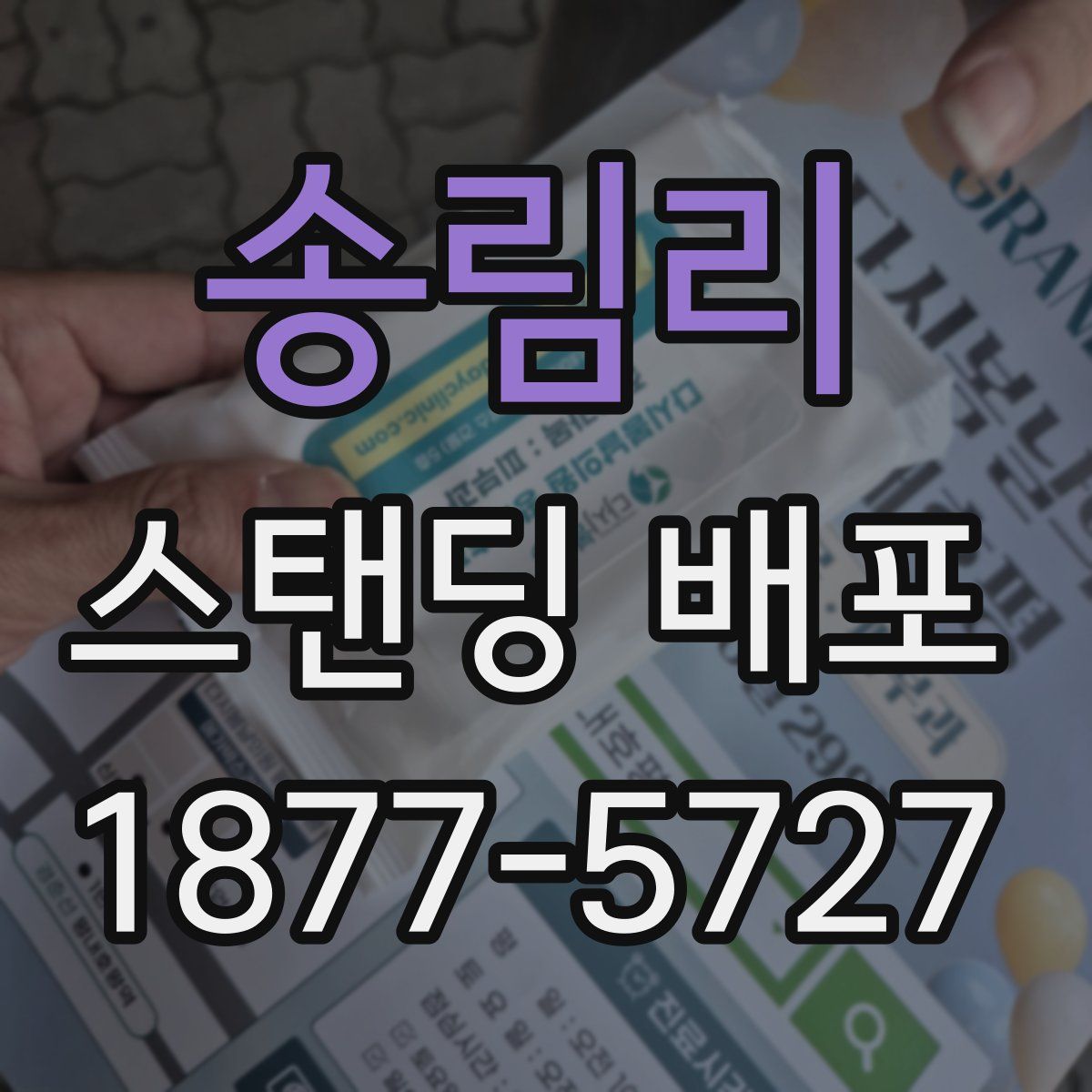 송림리 스탠딩 배포