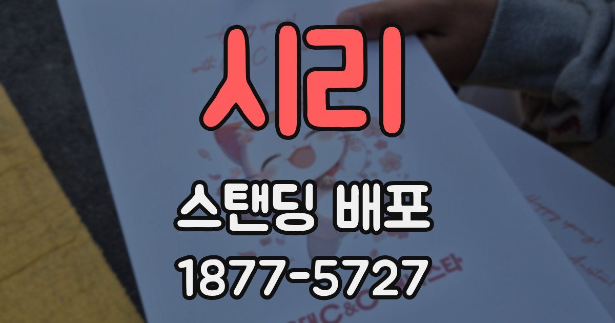 시리 스탠딩 배포