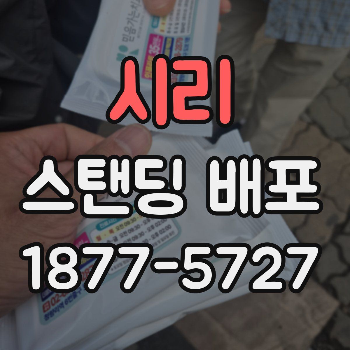 시리 스탠딩 배포