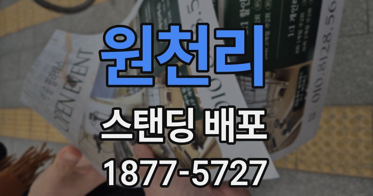원천리 스탠딩 배포