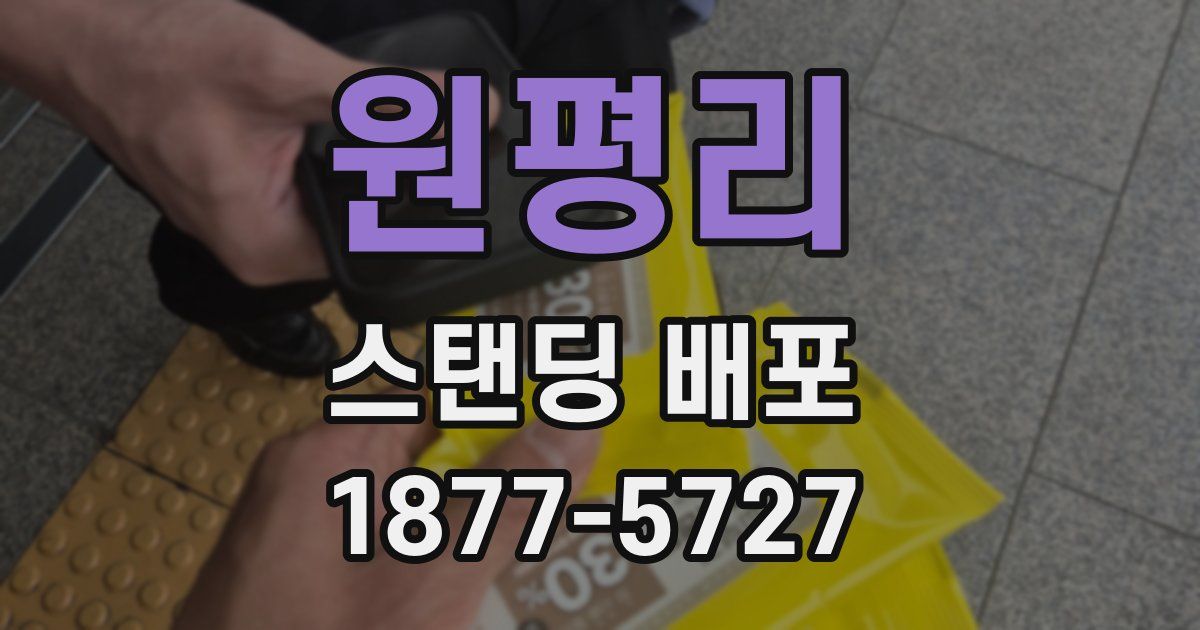 원평리 스탠딩 배포