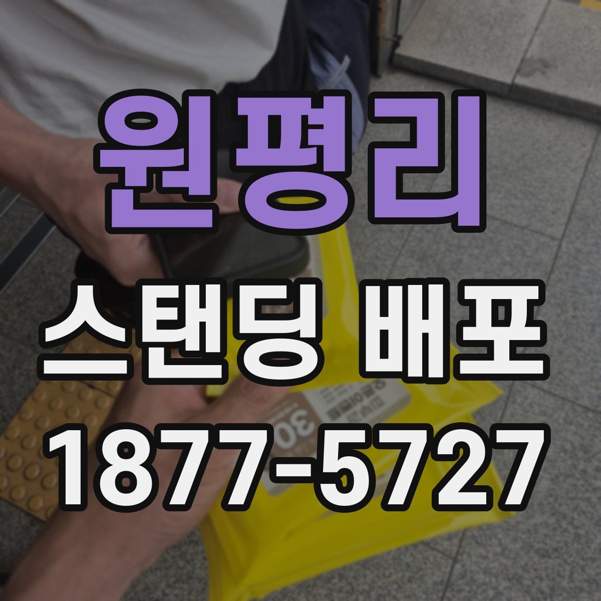 원평리 스탠딩 배포