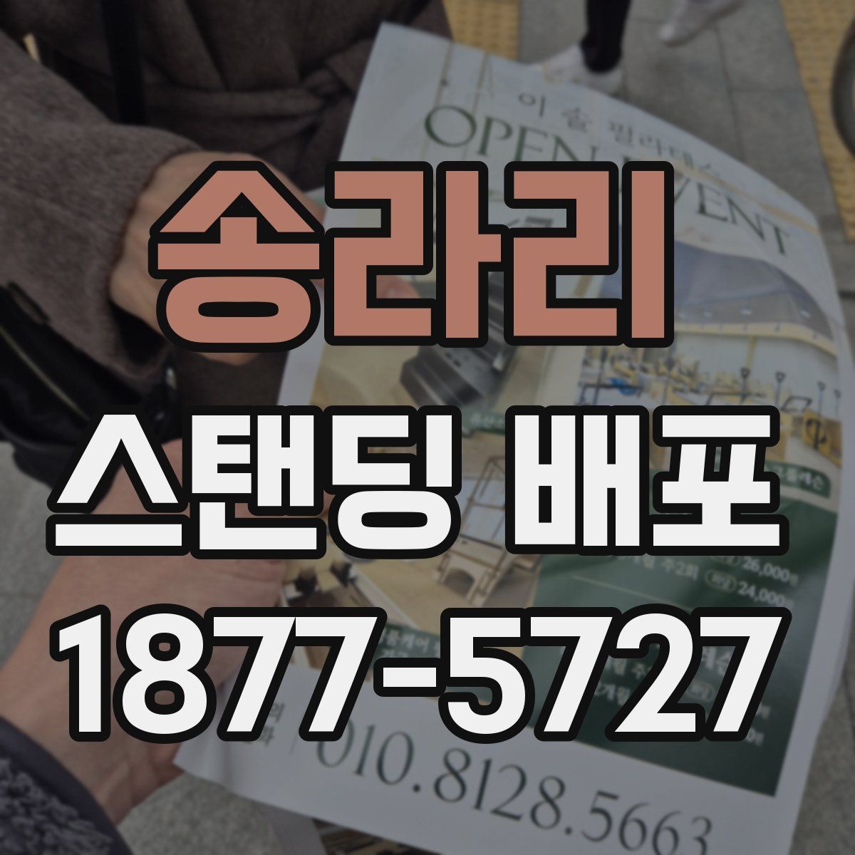 송라리 스탠딩 배포