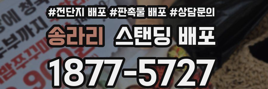 송라리 스탠딩 배포