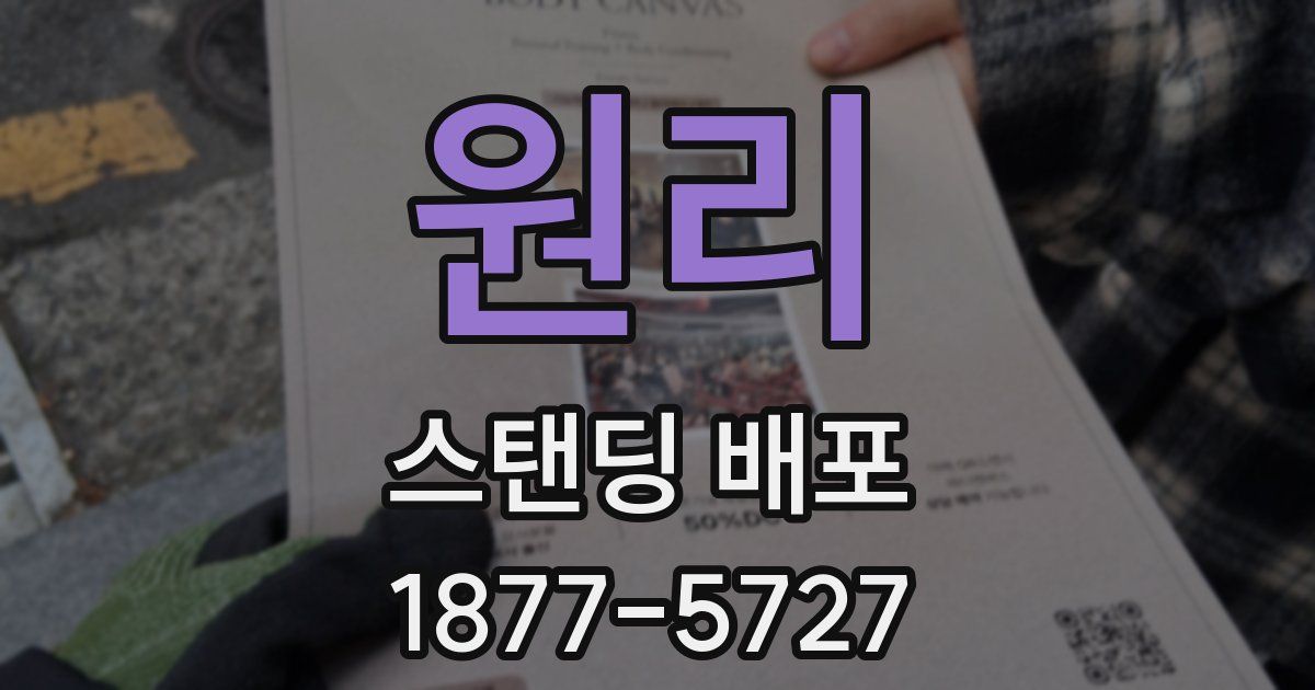 원리 스탠딩 배포