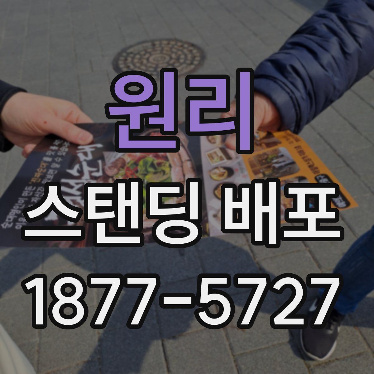 원리 스탠딩 배포