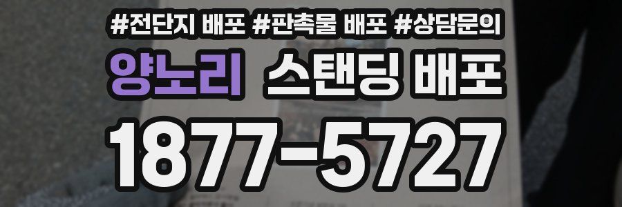 양노리 스탠딩 배포